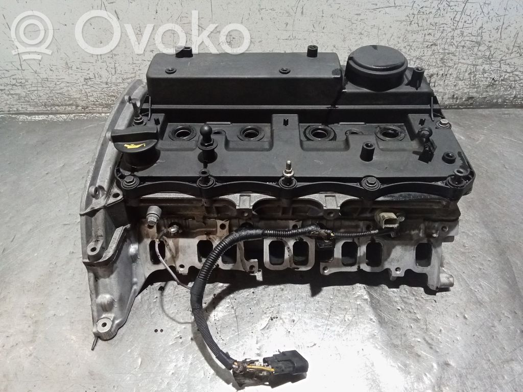 Galvutė   CYR5,EJ25153,EJ25153