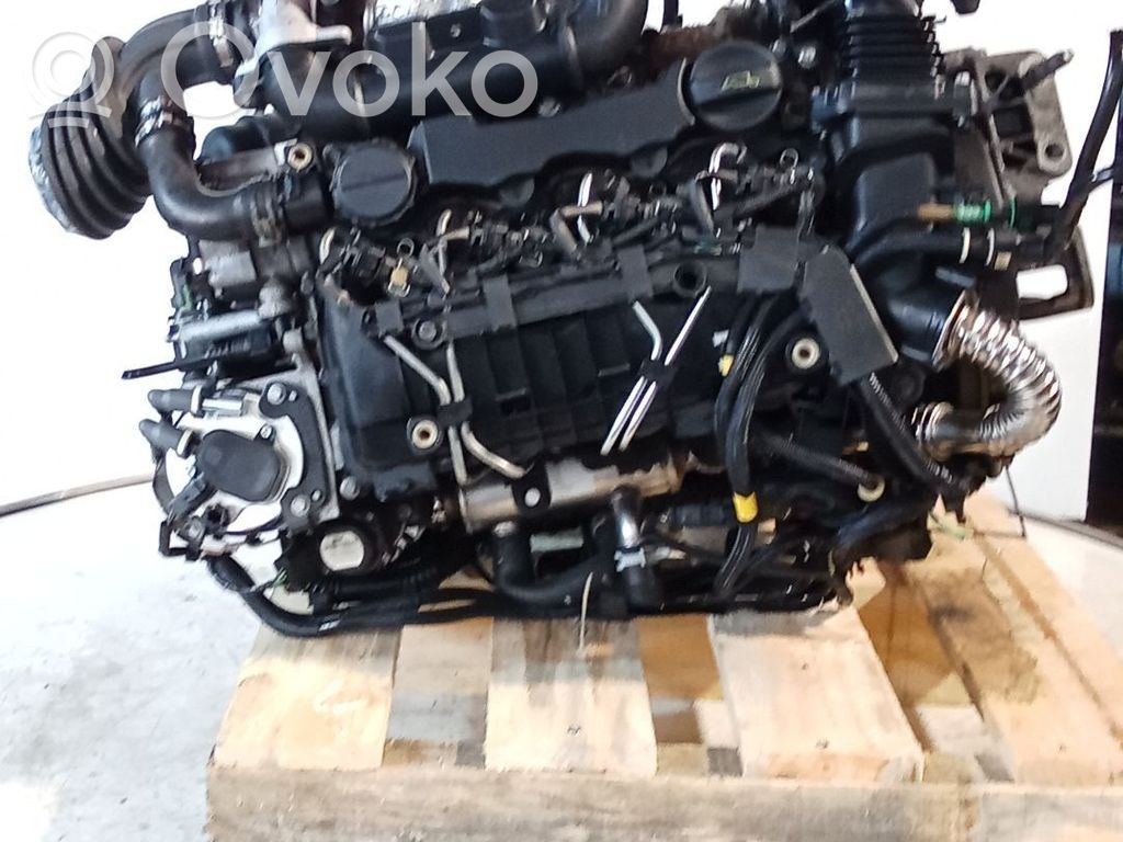 Ford Focus Motor 