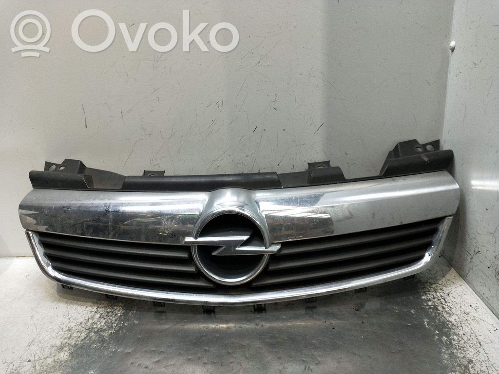 Atrapa chłodnicy / Grill