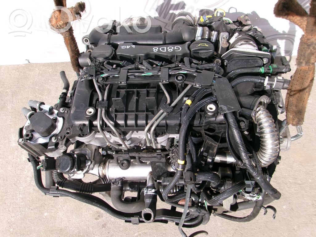 Motor   G8D8