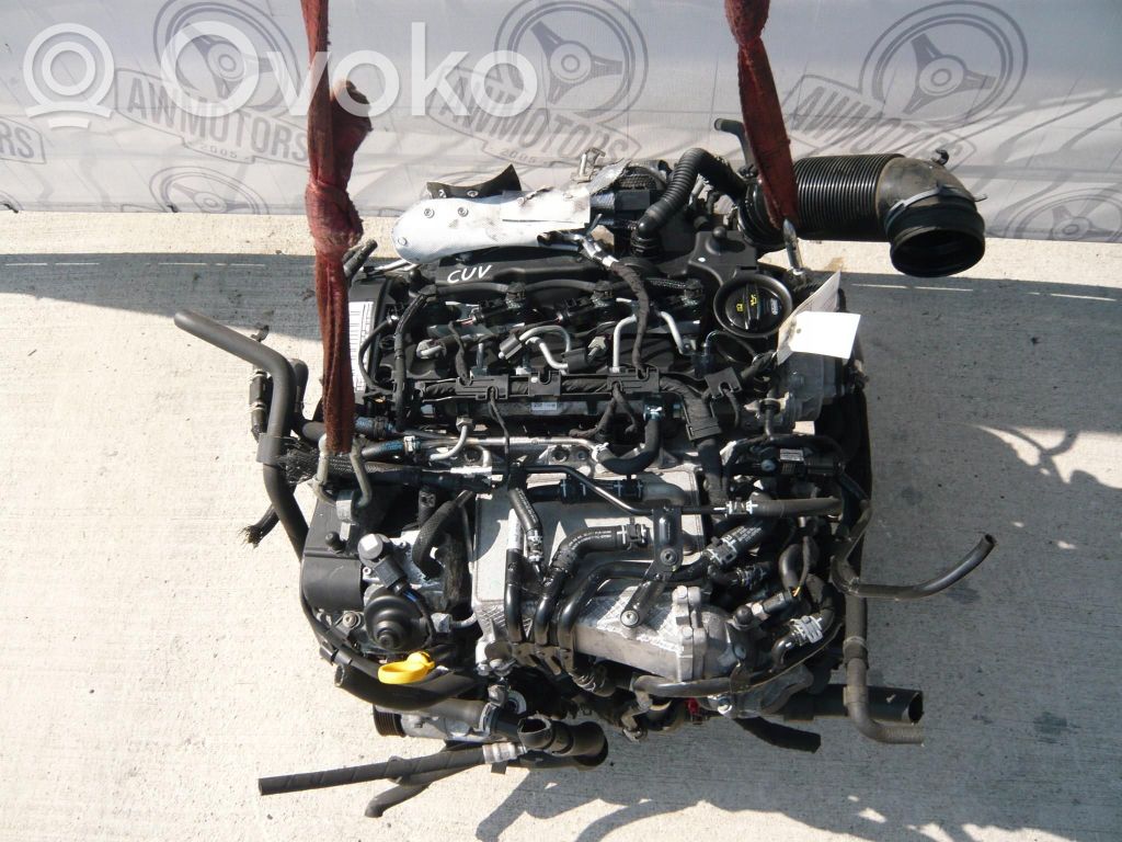 Volkswagen Tiguan Motor 