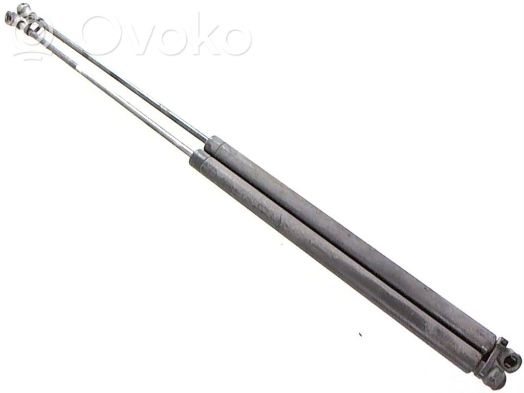 Tailgate/trunk strut/damper   51247069907