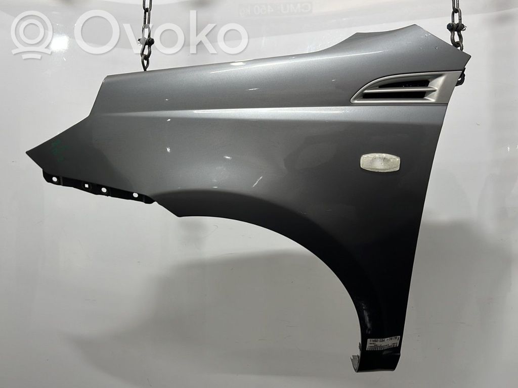 Guardabarro   95198279