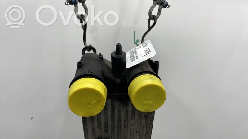 Radiador intercooler   00000384P5