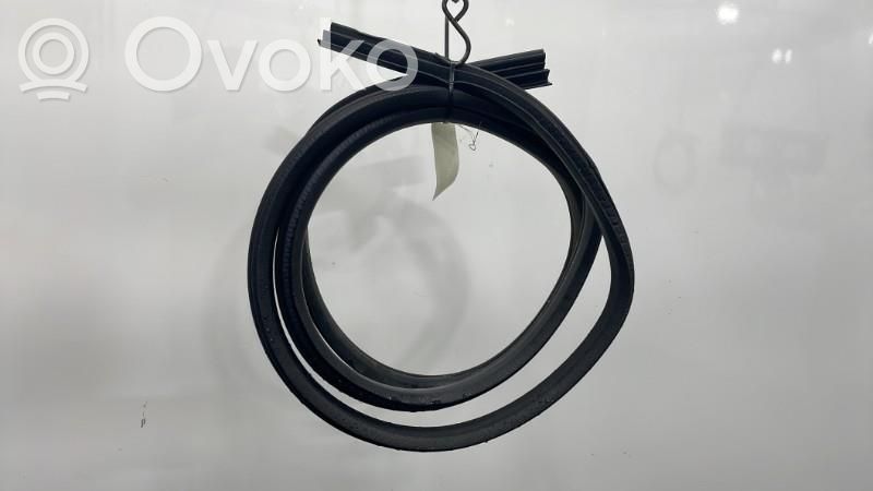 Ford Focus Gummidichtung Tür vorne 