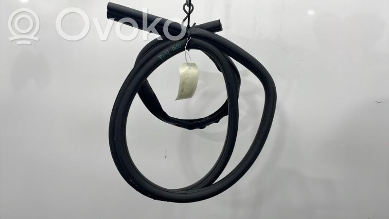 Ford Focus Etuoven kumitiiviste 