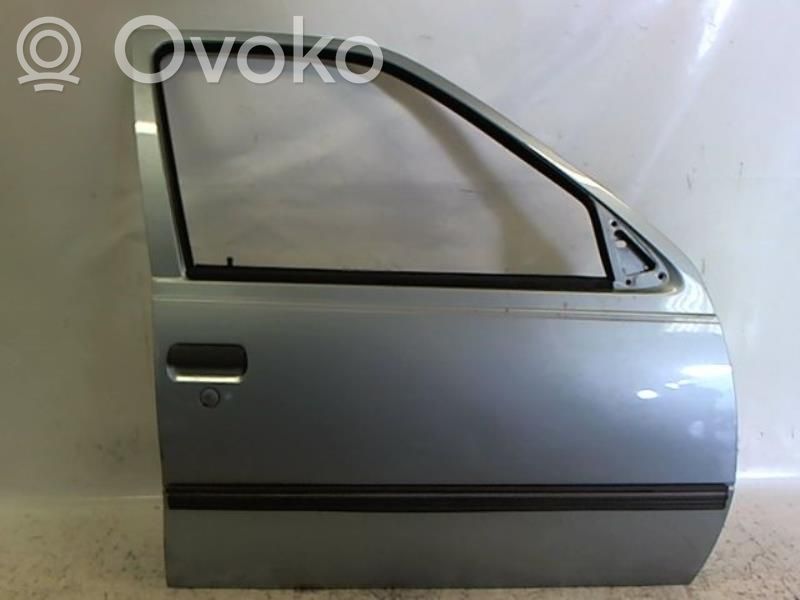 Priekinės durys   0124878