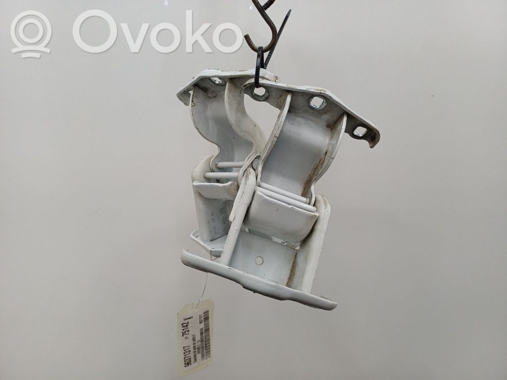 Tailgate/trunk/boot hinge