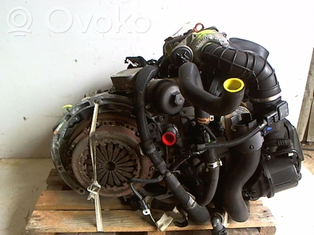 Variklis   0135FZ