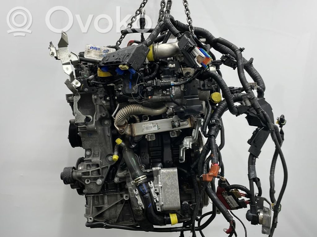 Renault Koleos II Motor 