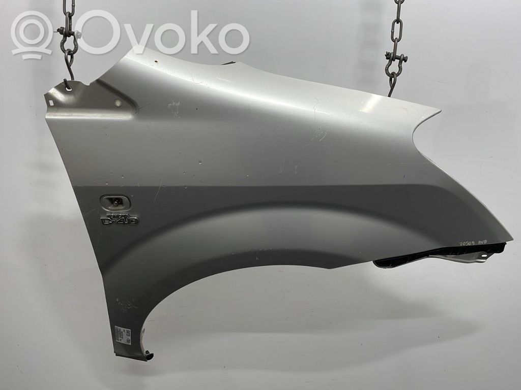 Guardabarro   538110F010