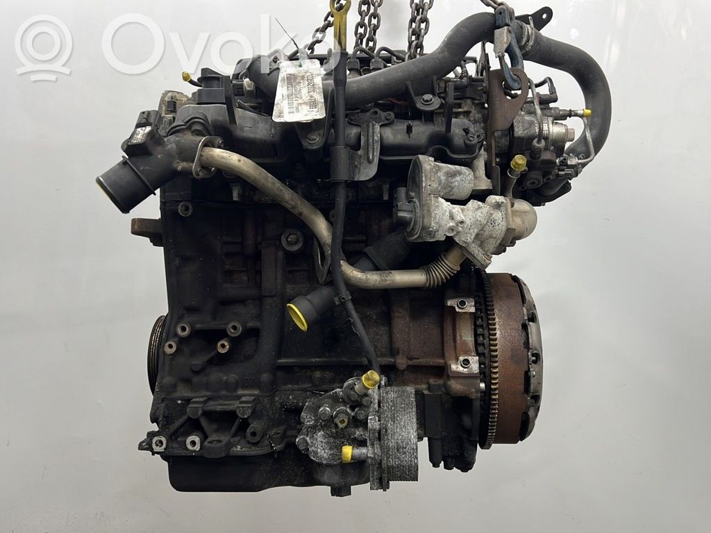 Motor