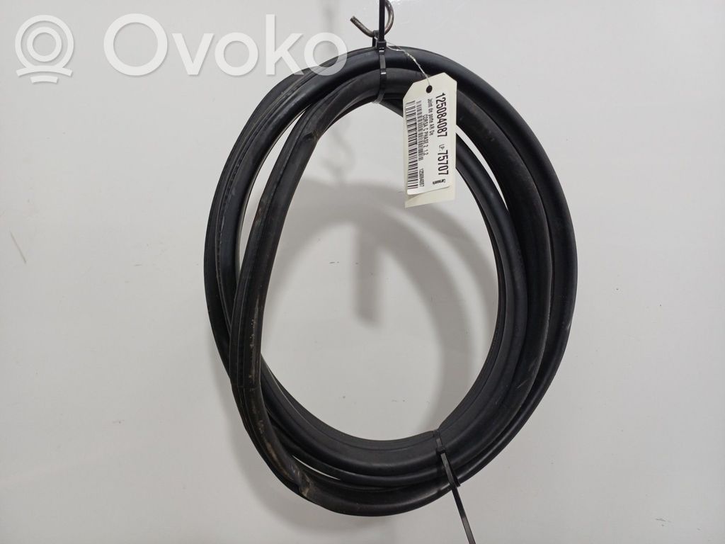 Opel Corsa C Rear door rubber seal (on body) 