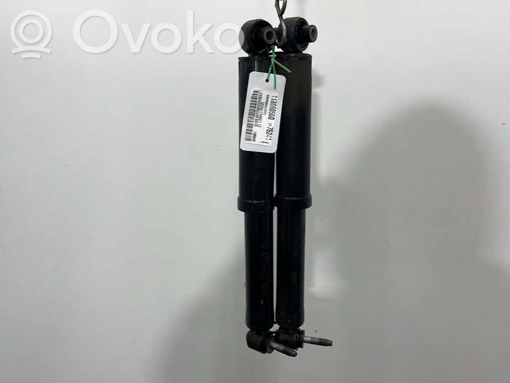 Amortiguador trasero   E62104EA3C