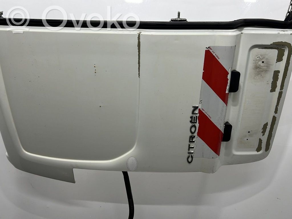 Krovinių (bagažinės) durys   00008702A1