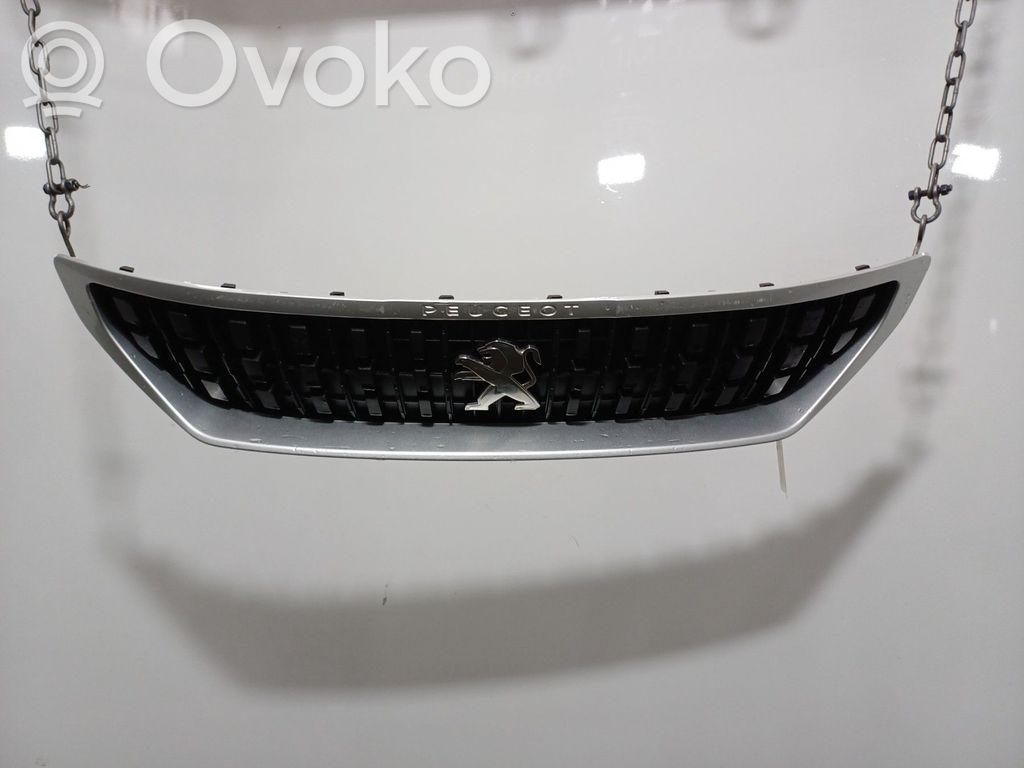 Etusäleikkö   98117104XT