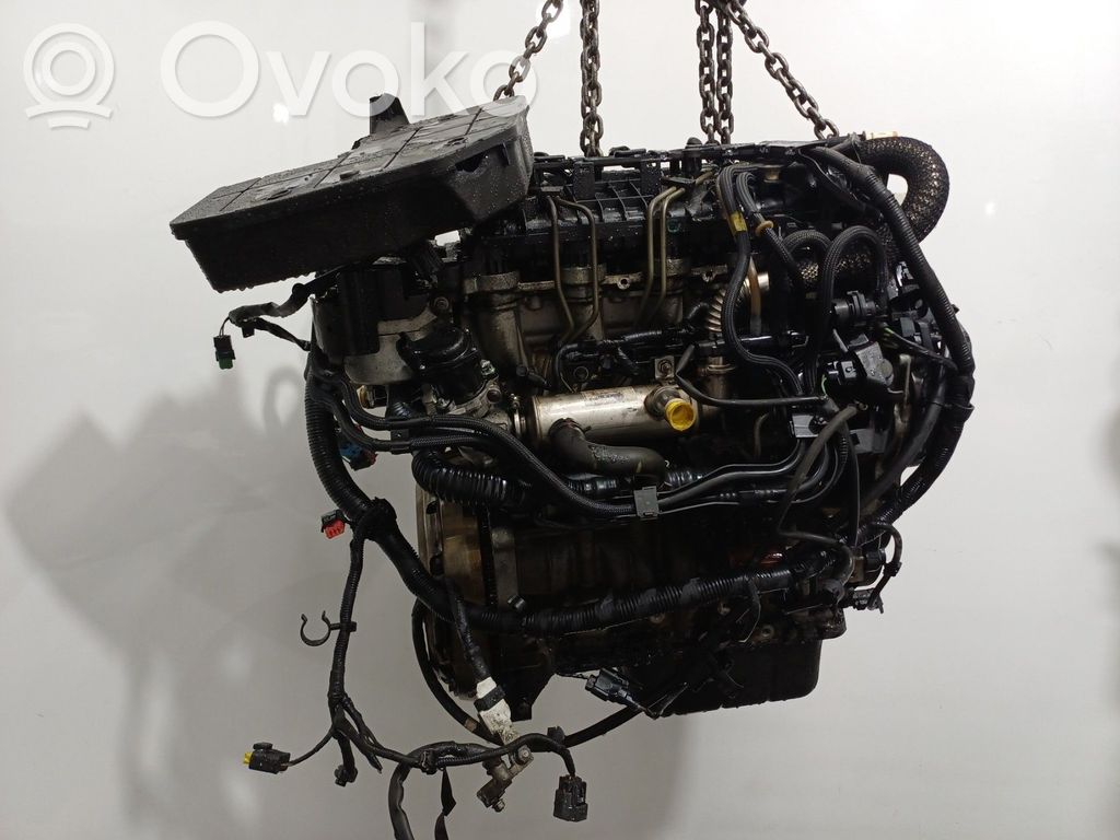 Motor