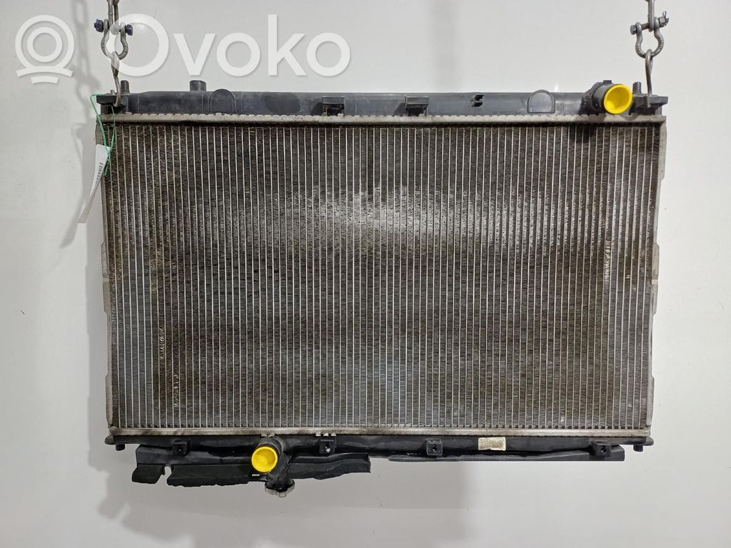Hyundai Santa Fe Radiatore di raffreddamento 