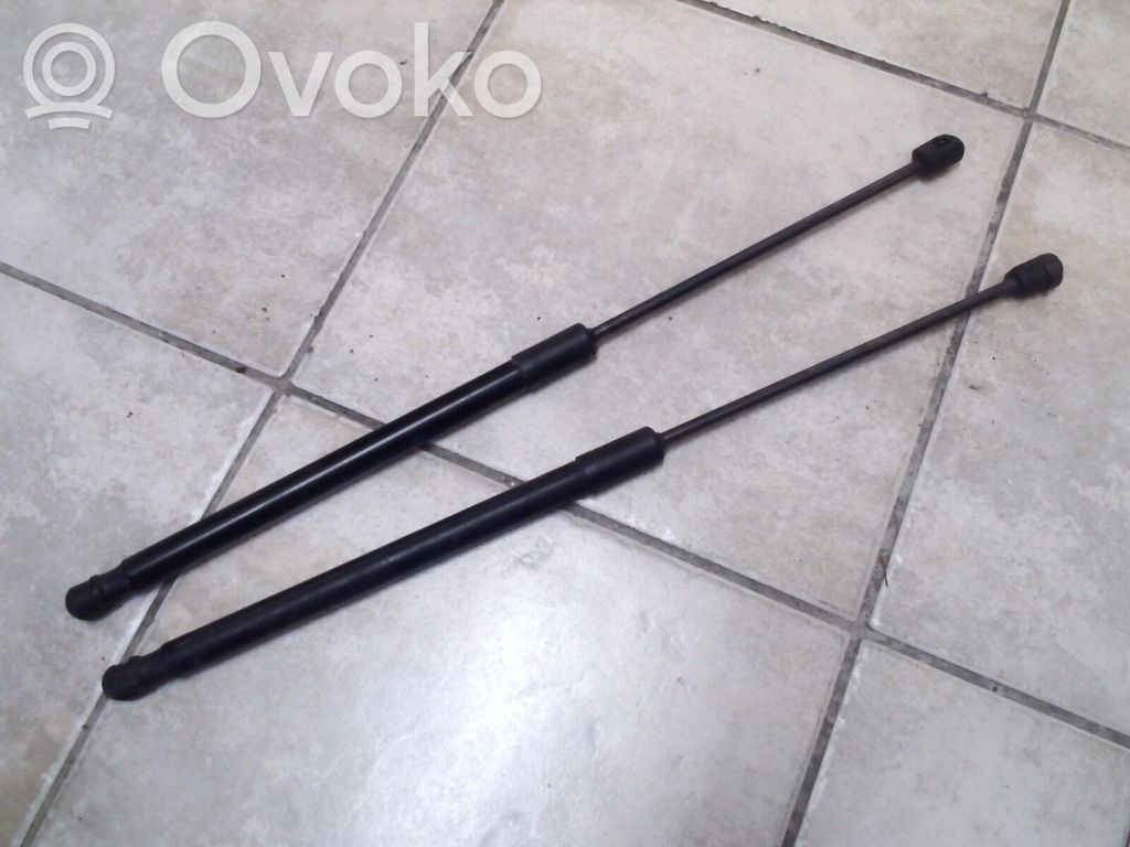 Tailgate/trunk strut/damper