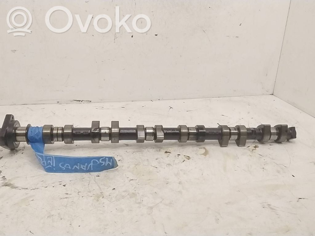 Sadales vārpsta   3690G