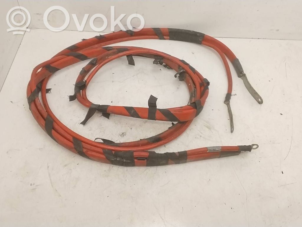 Plusa vads (akumulatora)   6926796