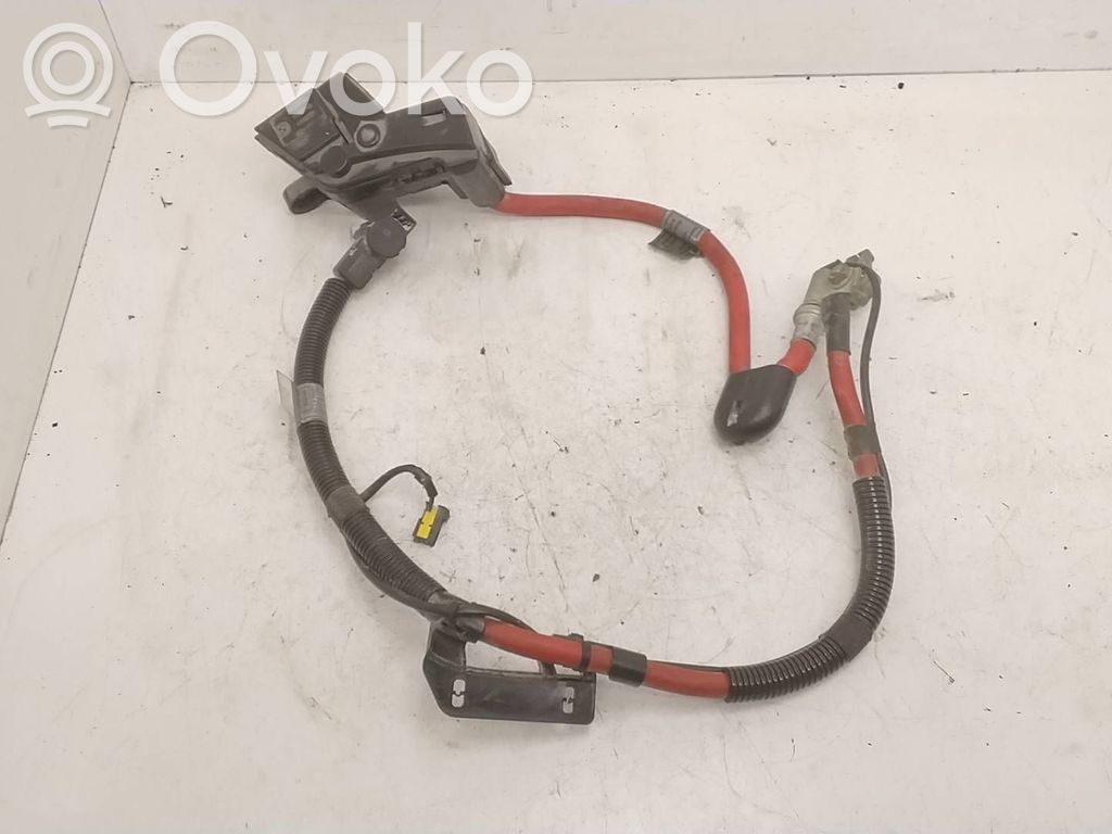 Cable positivo (batería)   6904905,61138387573,10688710