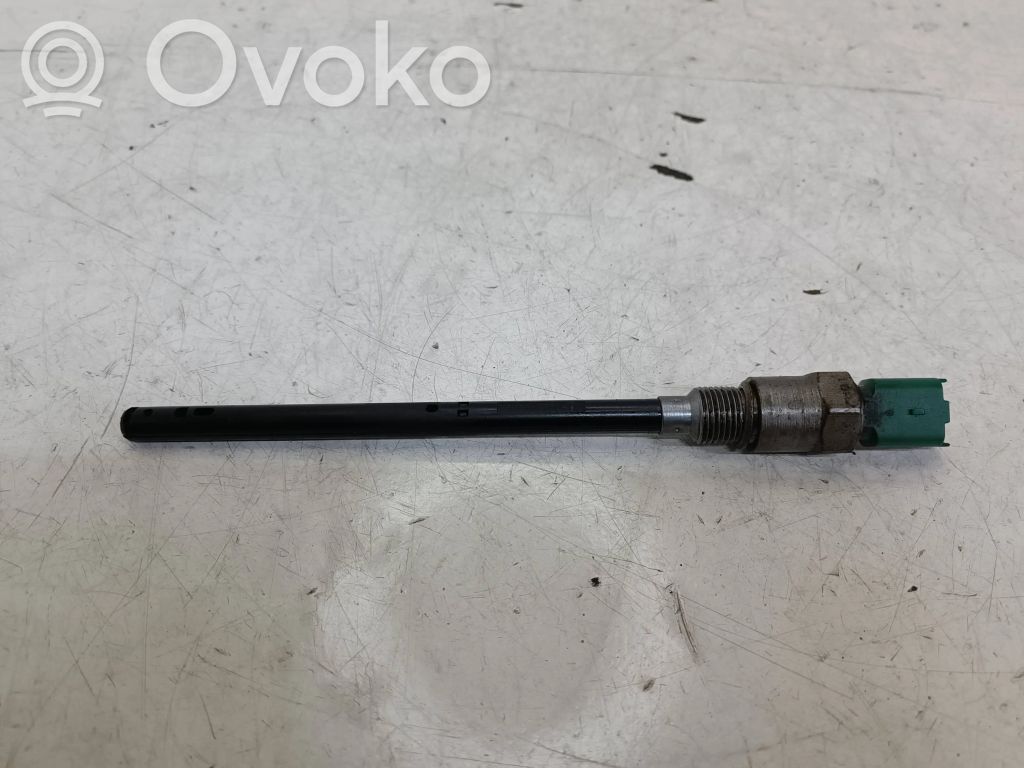 Citroen C4 II Tepalo lygio daviklis 