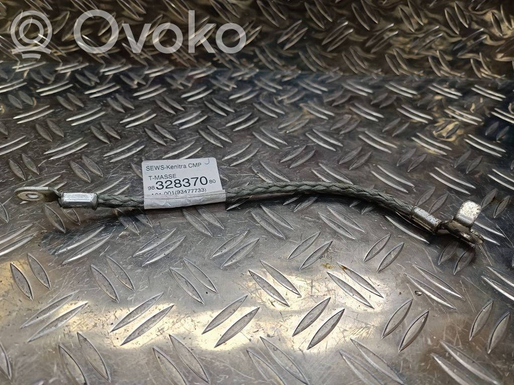 Citroen C4 III e-C4 Cavo negativo messa a terra (batteria) 