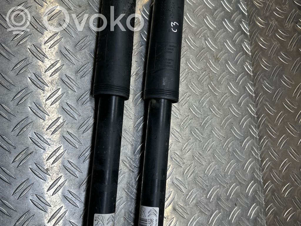 Citroen C3 Amortyzator tylny 