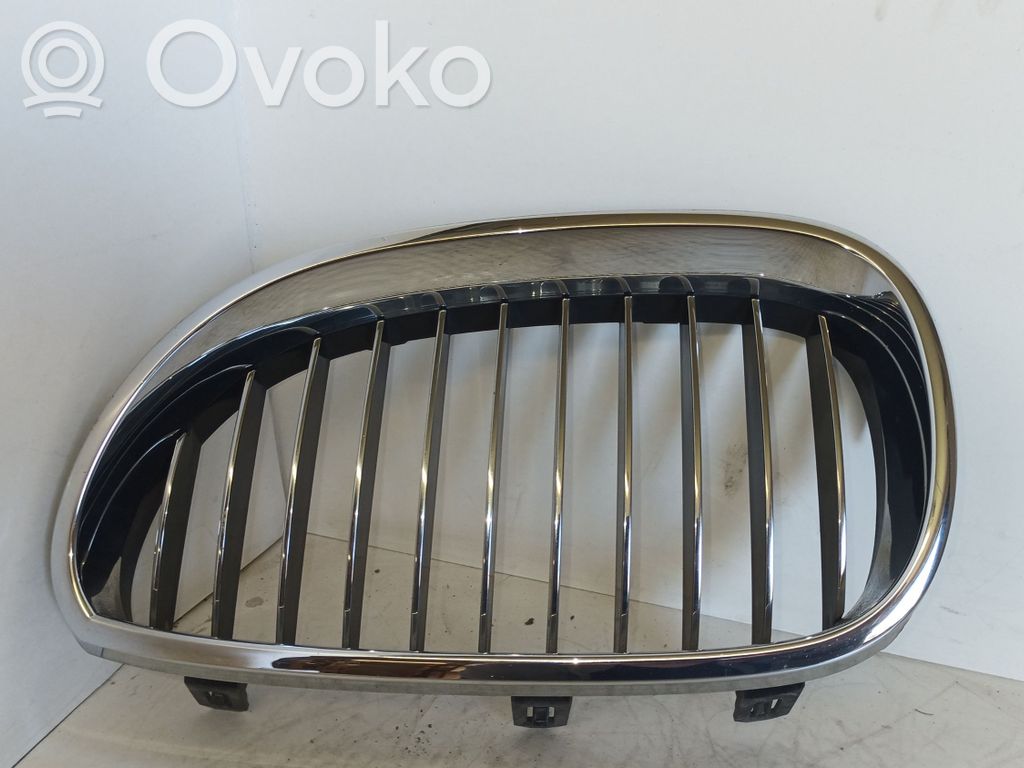 Kühlergrill   10627110