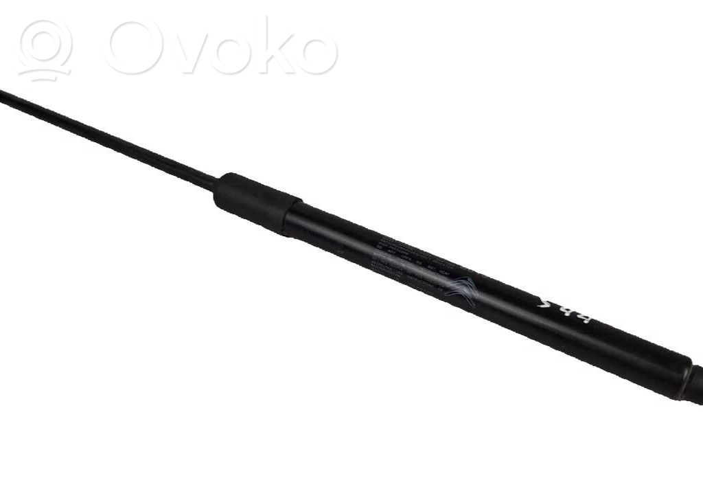 Citroen C3 Tailgate/trunk strut/damper 