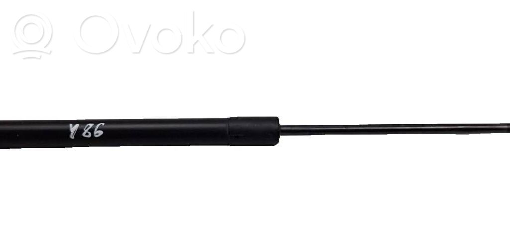 Citroen C3 Tailgate/trunk strut/damper 