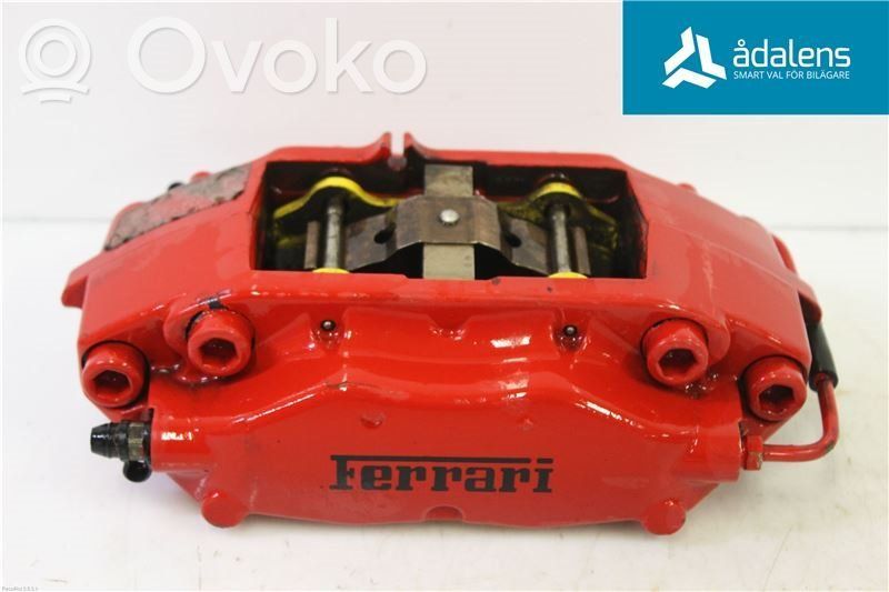 Takajarrusatula   228011
