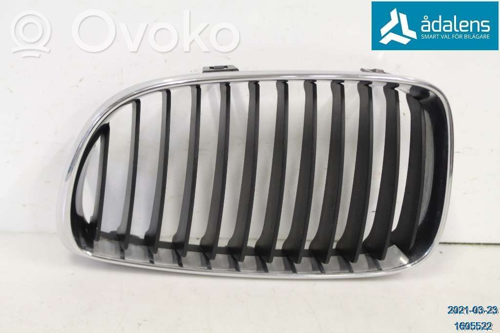 Front bumper lower grill   51137166439