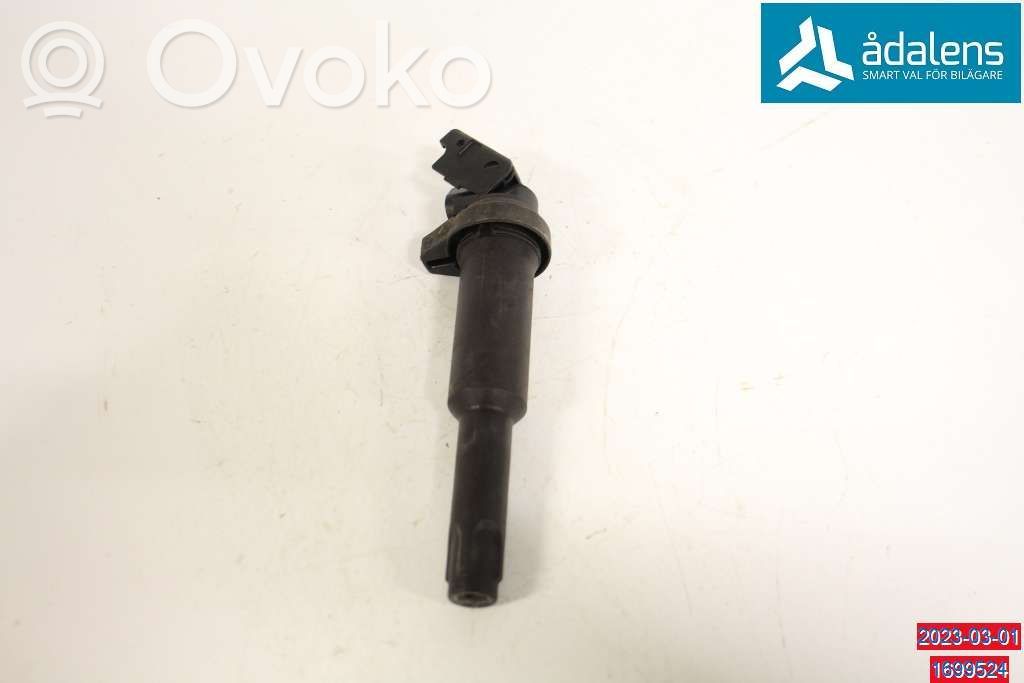 High voltage ignition coil   12135A06753,7548553