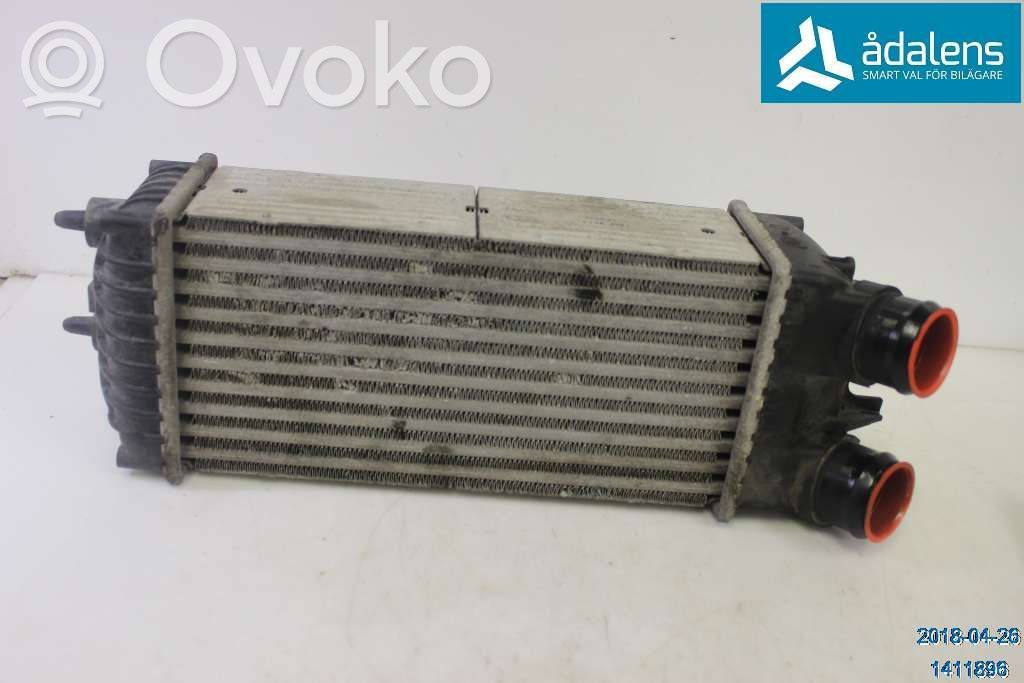 Radiador intercooler   E256083,9645965180