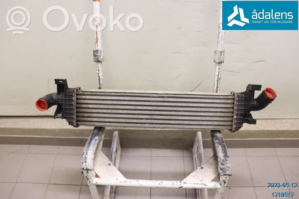 Radiatore intercooler   30741046