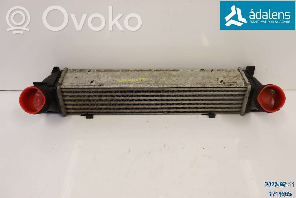 Radiatore intercooler   17517524916,3093796