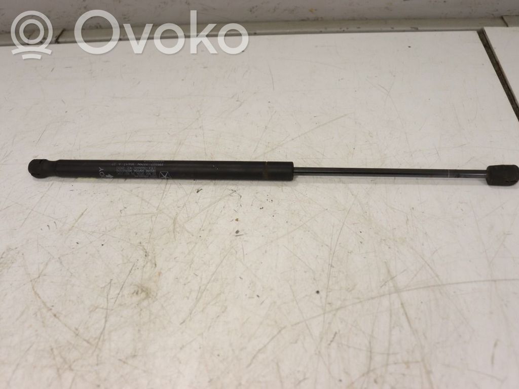 Dodge RAM Ammortizzatore portellone anteriore/cofano 