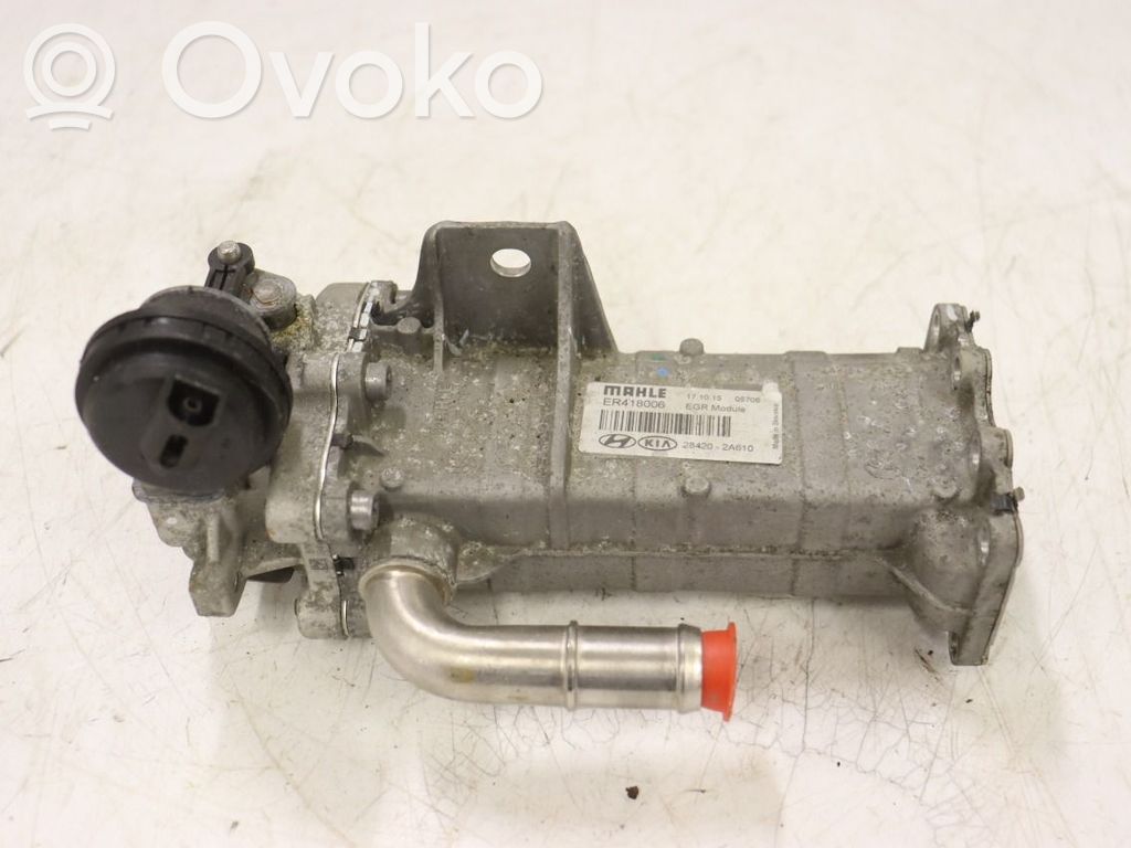 KIA Ceed Refrigerador de la válvula EGR 