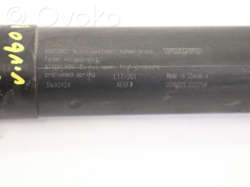 Tailgate strut   31690924