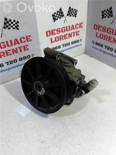 Ford Transit -  Tourneo Connect Power steering pump 