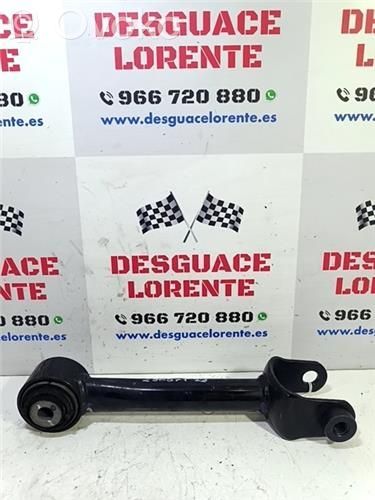 Brazo de suspensión trasero   134443100B