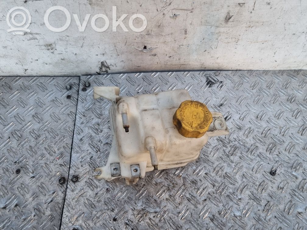 Chevrolet Captiva Aušinimo skysčio išsiplėtimo bakelis 