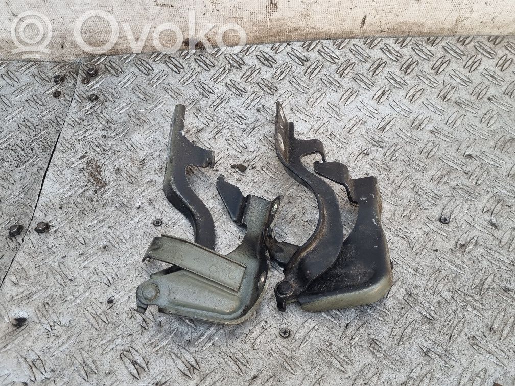 Opel Antara Engine bonnet/hood hinges 