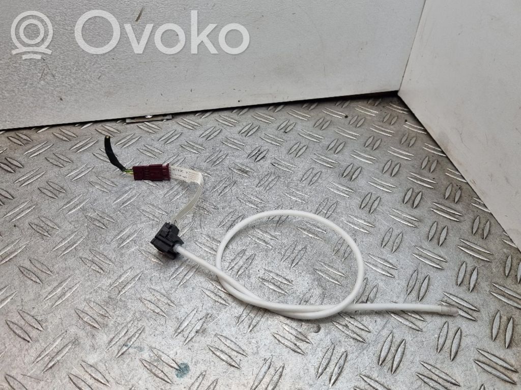 Mini Cooper Countryman R60 Kita salono detalė 