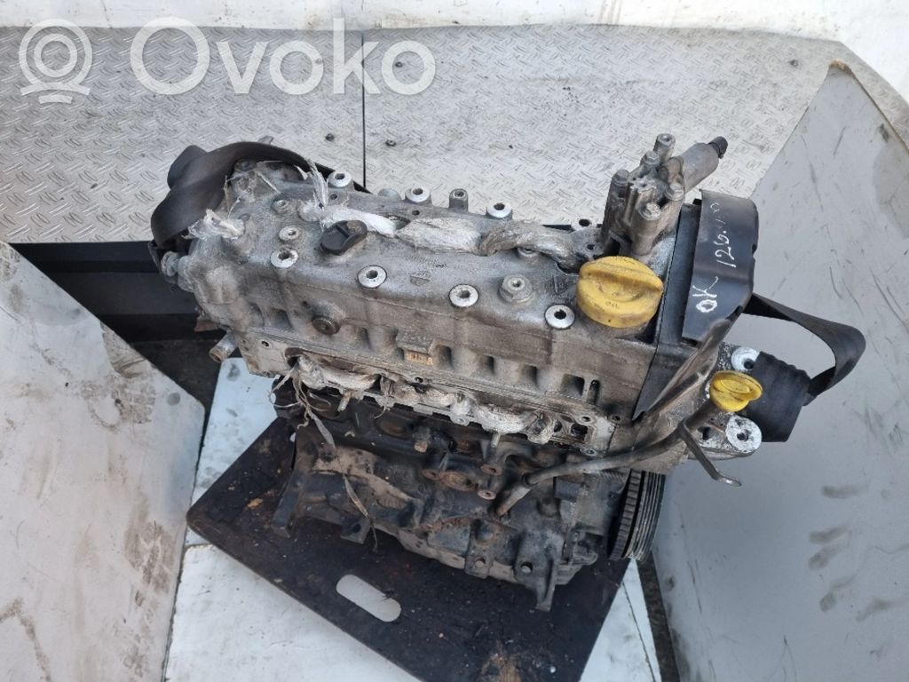 Variklis   199A6000,55211746,55194039,199A6000,6966715,B469