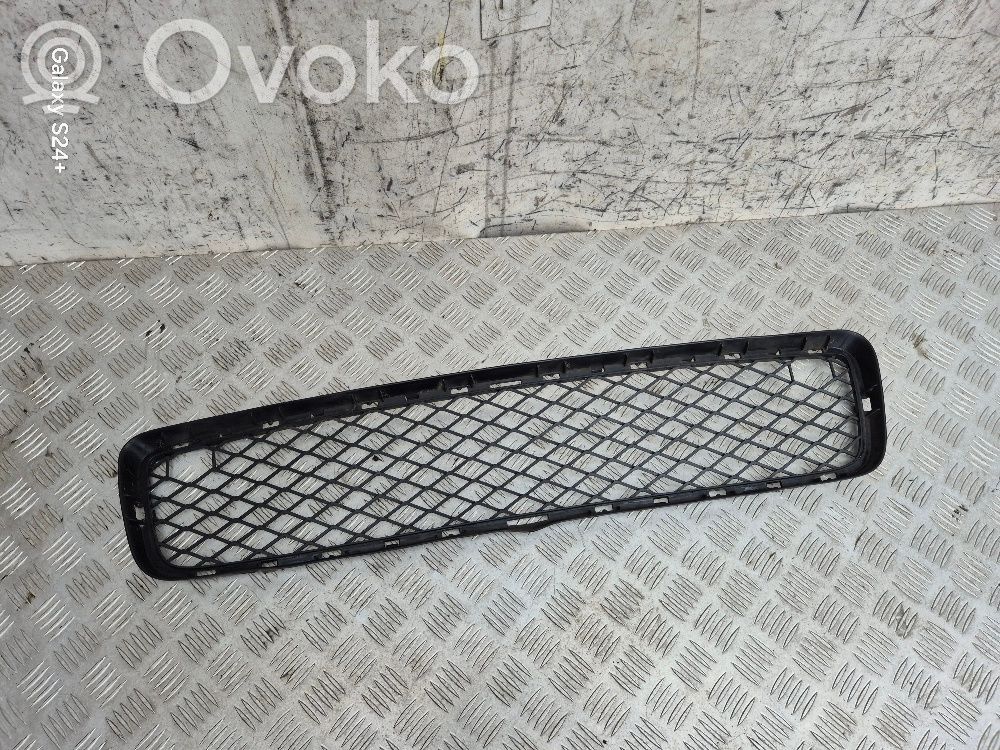 BMW X5 E70 Front bumper lower grill 