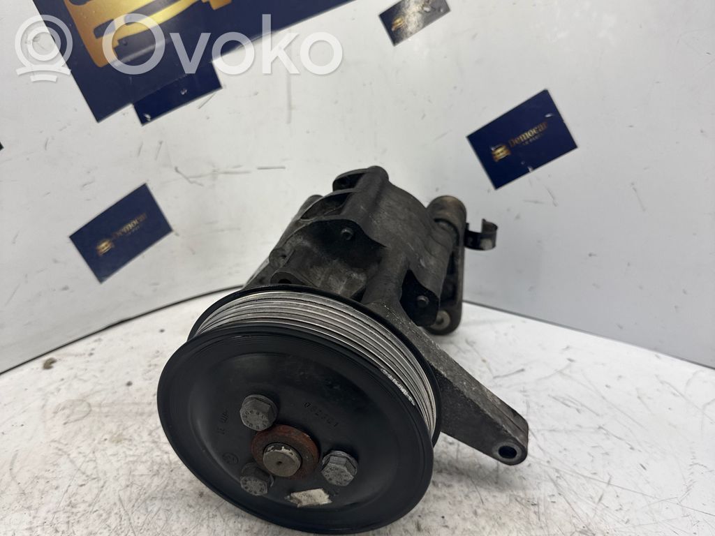 Power steering pump   5002446,679646303