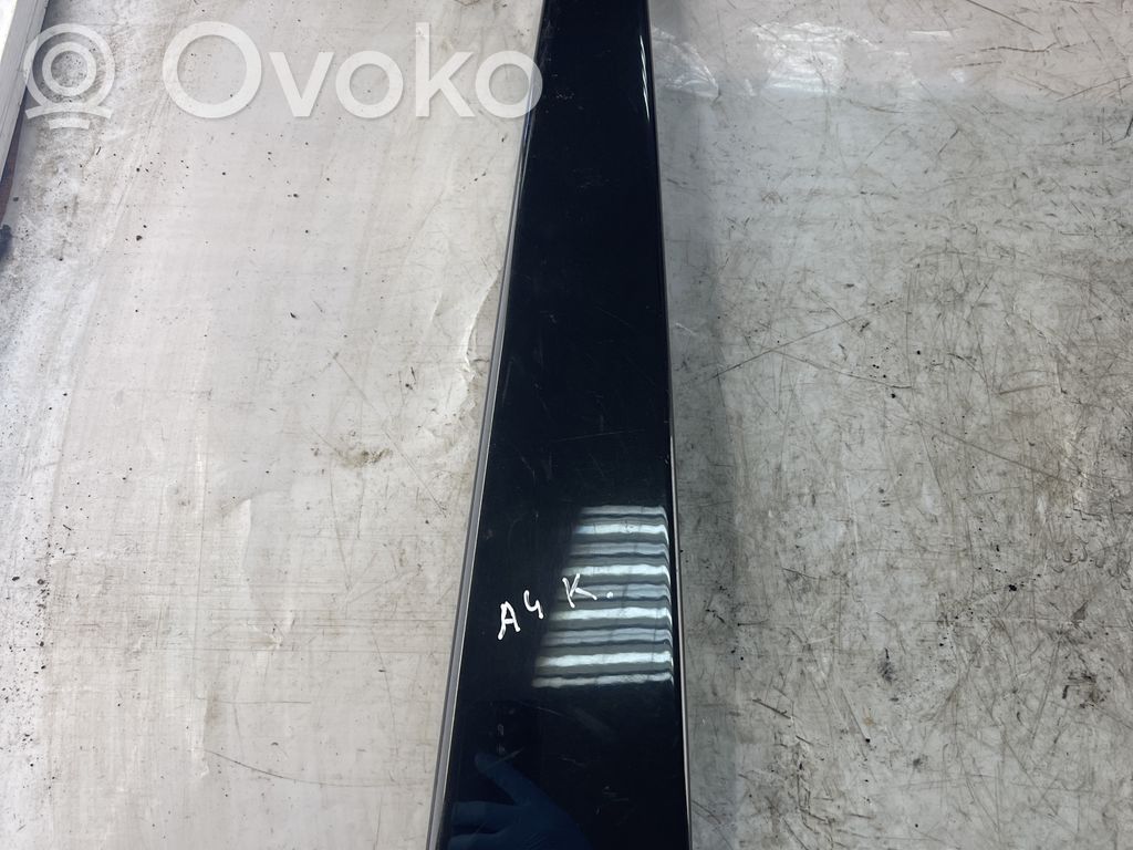 Audi A4 S4 B6 8E 8H Front door glass trim molding 